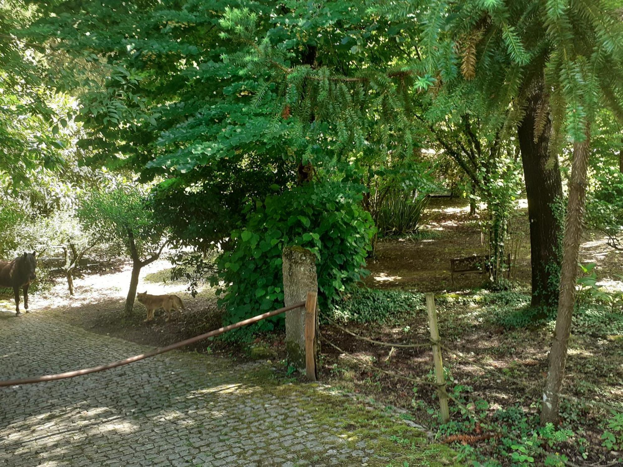 Cabana Da Oliveira Marco de Canavezes Exterior foto